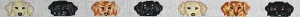 175c Asst Lab Dog Faces belt