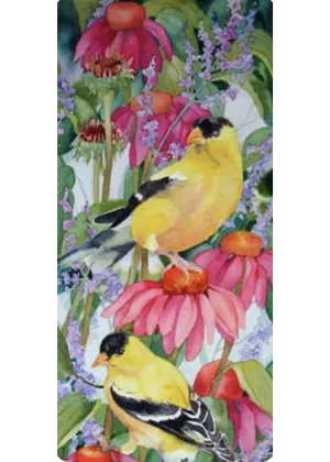 A31  Melody of Goldfinch