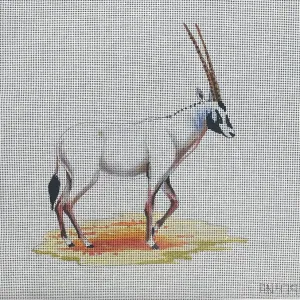 AN479  white oryx
