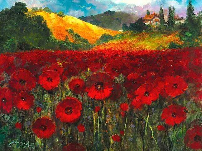 Bloomin Poppies by James Coleman (wrapped canvas collectible)