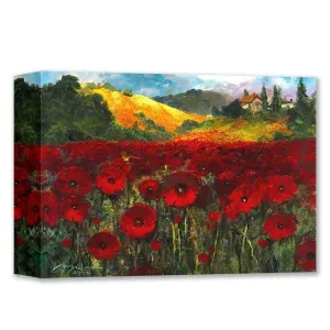 Bloomin Poppies by James Coleman (wrapped canvas collectible)