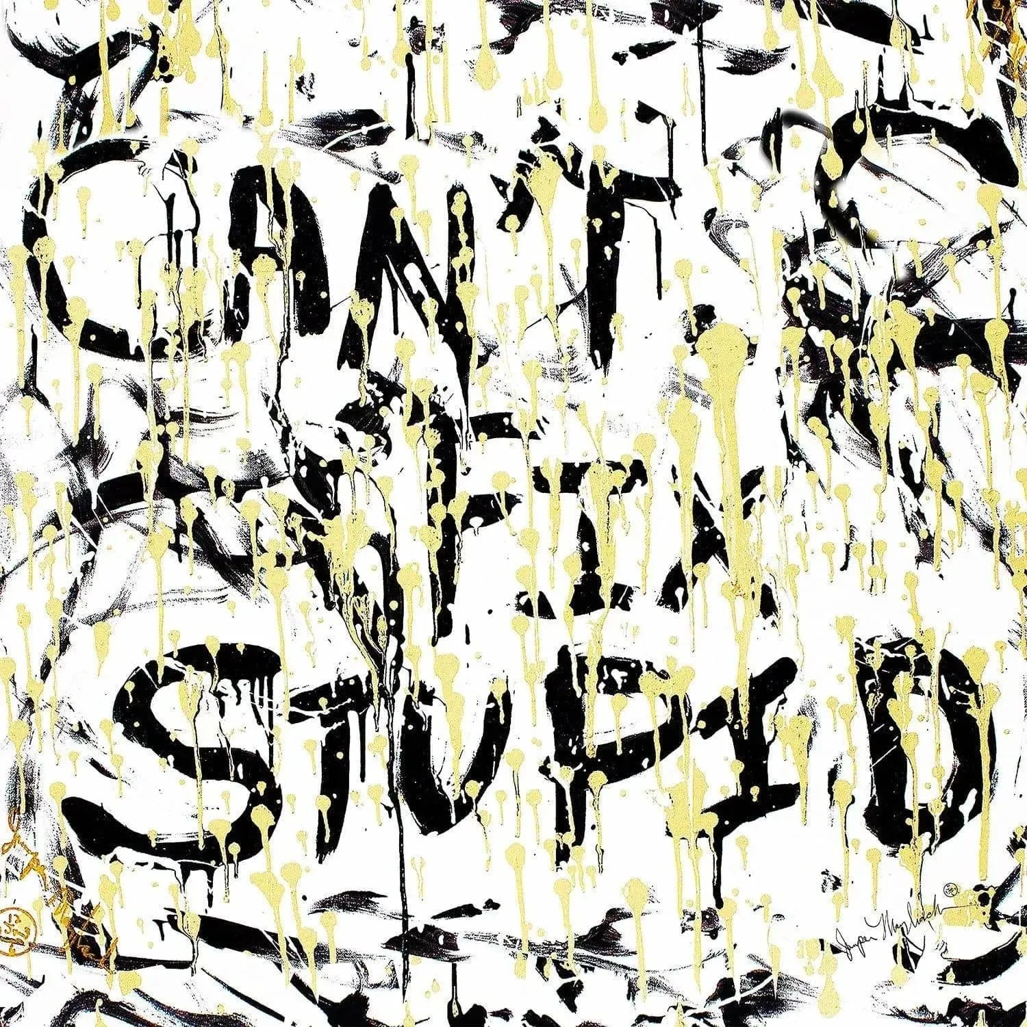Can't Fix Stupid  (Embellished-Hand Signed by the Artist)