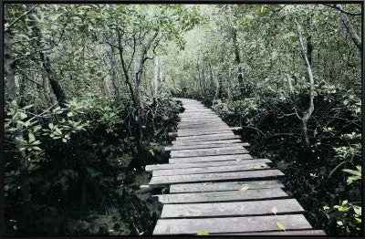 Canvas Forest Bridge & Path 75x115 W/frame
