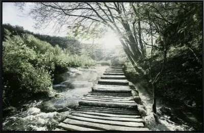 Canvas Forest Bridge & Path 75x115 W/frame