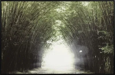 Canvas Forest Bridge & Path 75x115 W/frame