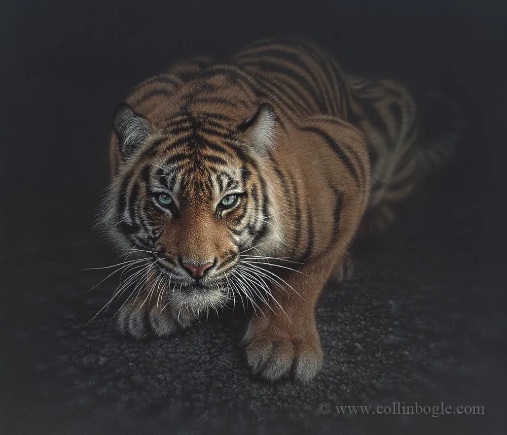 Crouching Tiger