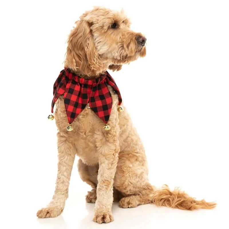 Fuzzyard Jester Collar