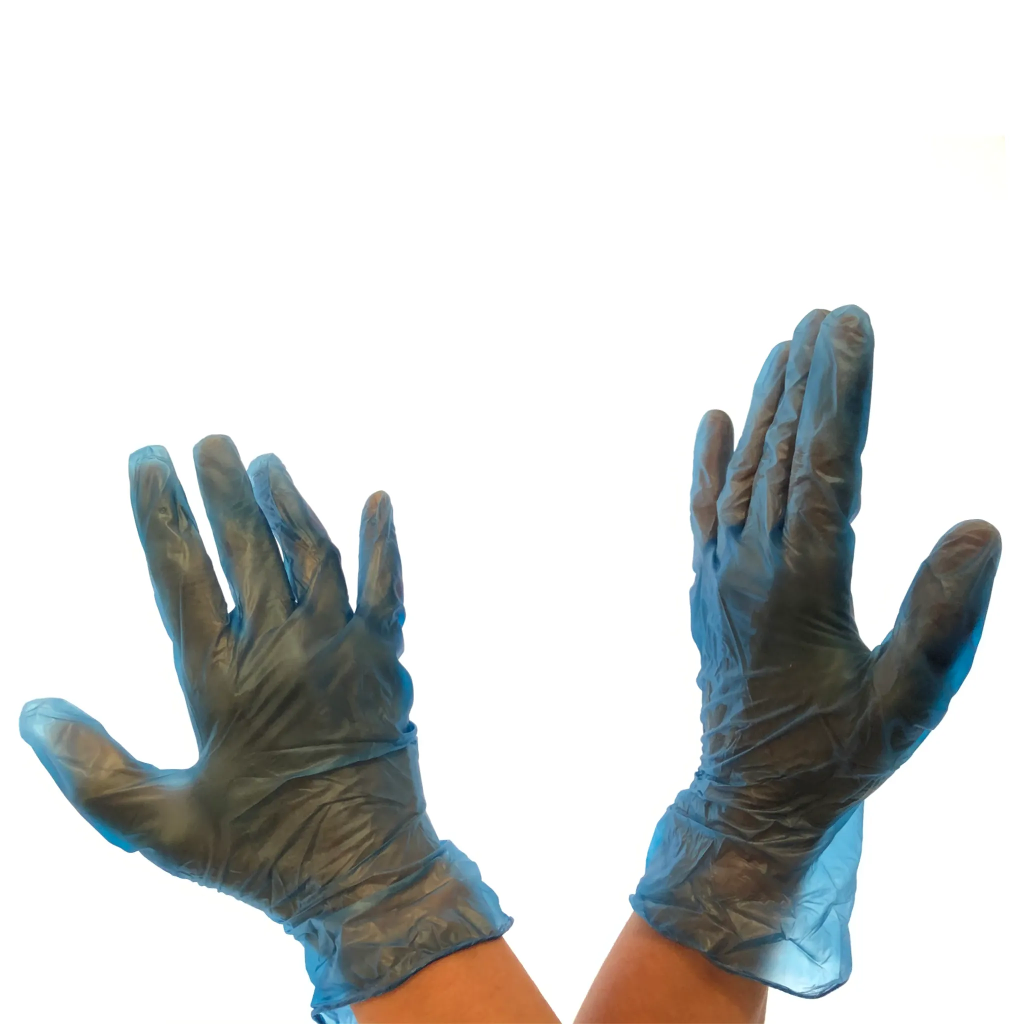 Gloves - Disposable - Vinyl - Ambidextrous