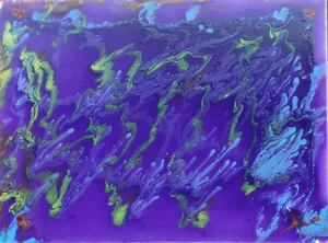 Jelly fish