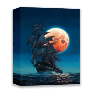 Moonlit Pursuit