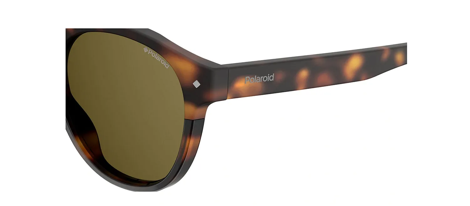 Polaroid PLD 6042/S 086_SP Panthos Plastic Havana Sunglasses with Brown Polarized Lens