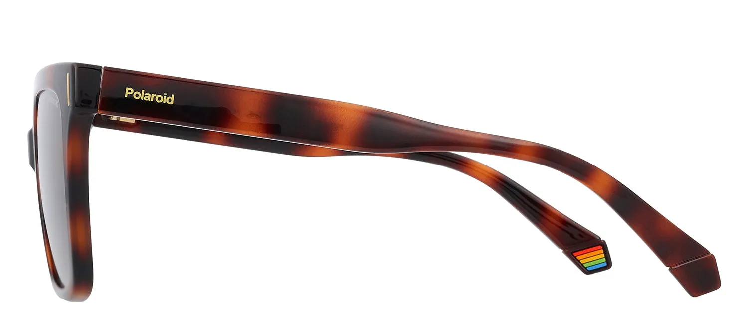 Polaroid PLD 6192/S 086_SP Cat-Eye Plastic Havana Sunglasses with Brown Polarized Lens