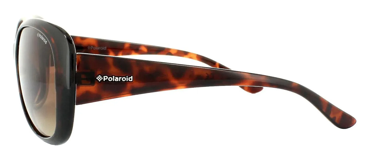 Polaroid PLD 8317 0BM_LA Butterfly Plastic Havana Sunglasses with Brown Polarized Lens