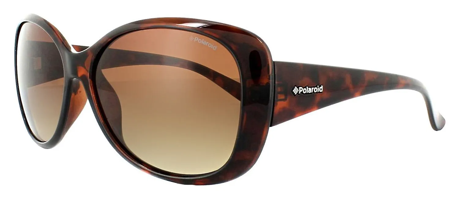Polaroid PLD 8317 0BM_LA Butterfly Plastic Havana Sunglasses with Brown Polarized Lens