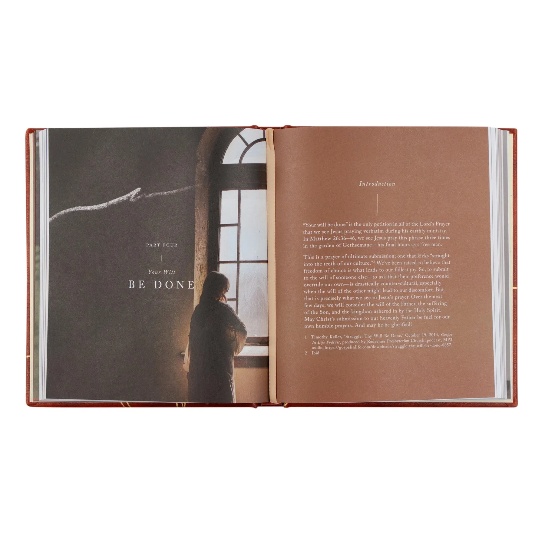 Pray Like This Devotional | Katie Noble