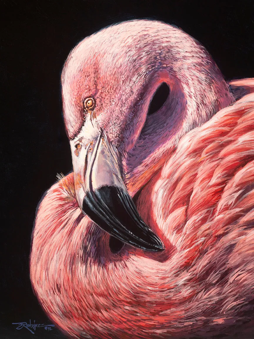 "Flamboyance"