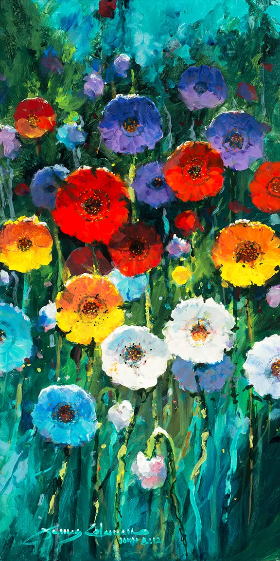 "Lilys and Light"
