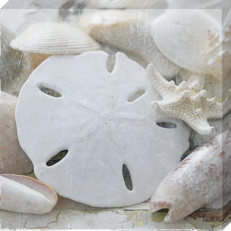 Sanibel IV: Gallery Wrapped Canvas