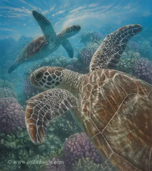 Turtle Bay